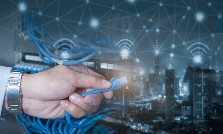 Server Management in Surrey